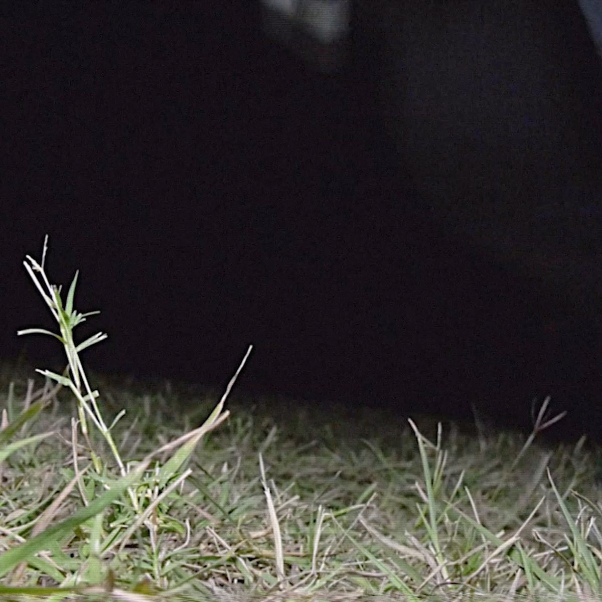 Watch Me x Harry and Marv still